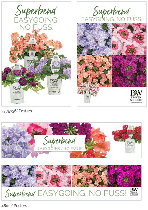 Superbena® (Verbena) - Easygoing. No Fuss. Signage