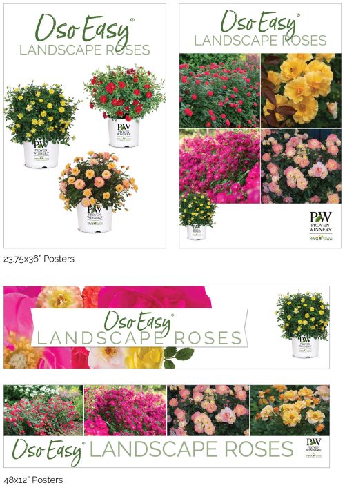 Oso Easy® Landscape Roses Signage