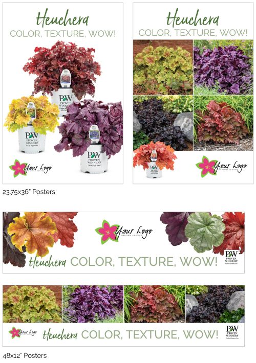 Heuchera - Color, Texture, Wow! Signage - Add Your Logo!