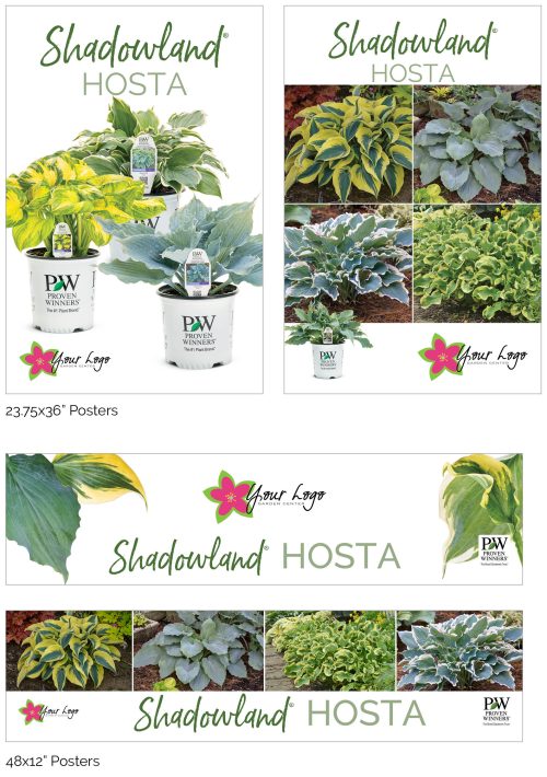 Shadowland® Hosta - Add Your Logo!