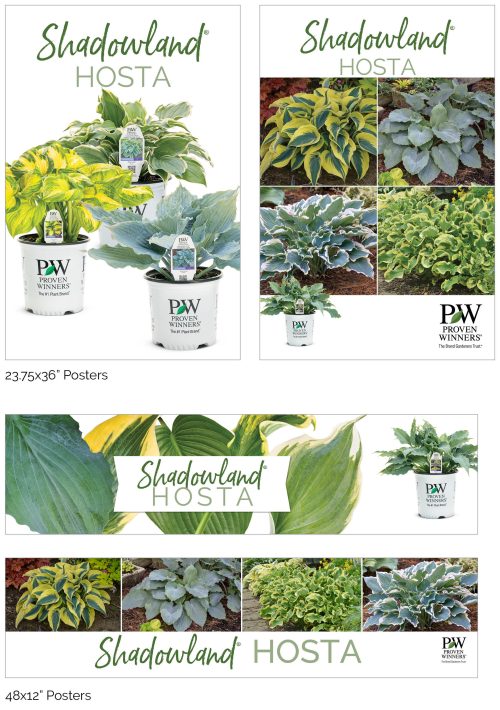 Shadowland® Hosta Signage