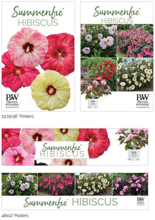 Summerific® Hibiscus Signage