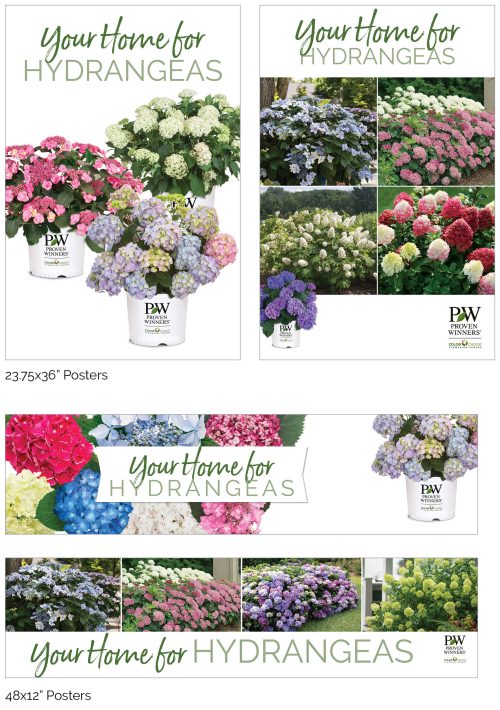 Your Home for Hydrangeas Signage