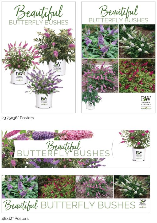 '8 Great Perennials' 11x7" Variety Benchcard Set - Set of 8 Benchcards