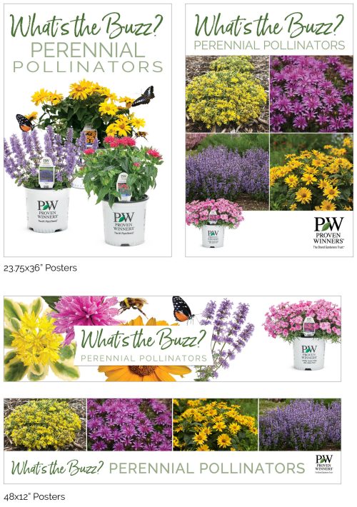 What's the Buzz? Perennial Pollinators Signage