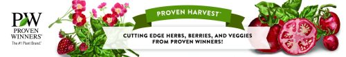 Proven Harvest® Logo Bench Tape - 4"x100' roll