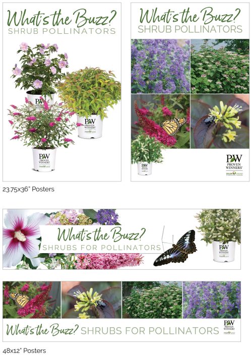 What's the Buzz? Shrub Pollinators Signage