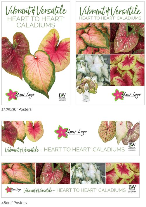 Heart to Heart® Caladiums Signage - Add Your Logo!