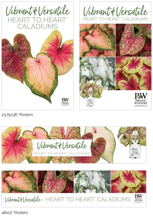 Heart to Heart® Caladiums Signage