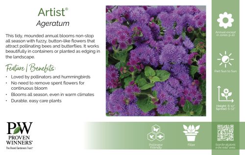 Ageratum Artist® 11x7" Series Benchcard