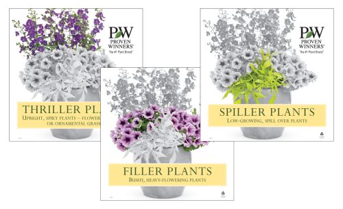 Thriller/Filler/Spiller Plants - Set of 3 - 18x18" Signs