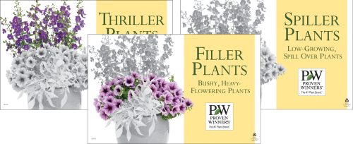 Thriller/Filler/Spiller Plants - Set of 3 - 11x7" Benchcards