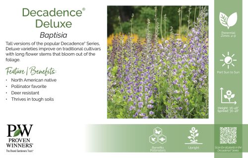 Baptisia Decadence® Deluxe 11x7" Series Benchcard