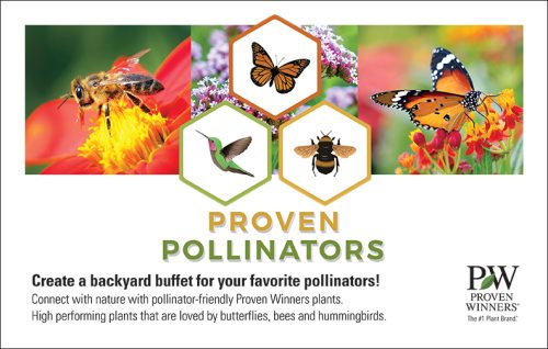 Proven Pollinator 11x7" Display Benchcard (Bee & Butterfly)