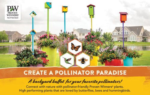 Pollinator Paradise 11x7" Display Benchcard