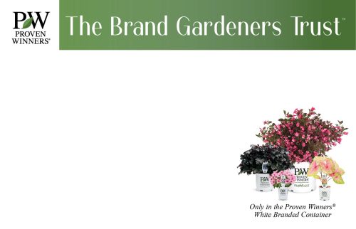 The Brand Gardeners Trust 11x7" Pricing Benchcard