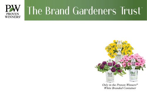 The Brand Gardeners Trust 11x7" Pricing Benchcard - Version 2