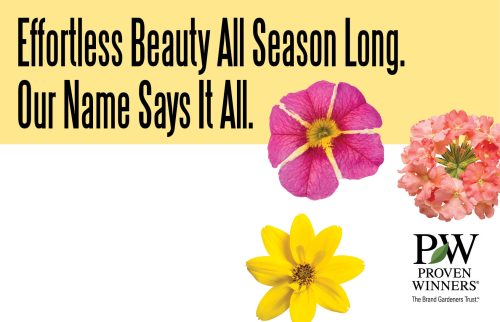 Effortless Beauty All Season Long. Our Name Says It All. 11x7" Pricing Benchcard