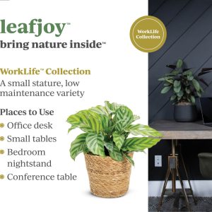 leafjoy® Signage