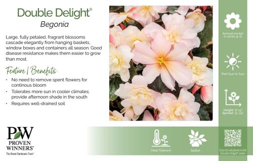 Begonia Double Delight® 11x7" Series Benchcard