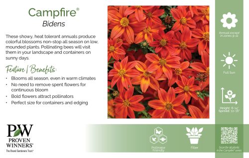 Bidens Campfire® 11x7" Series Benchcard