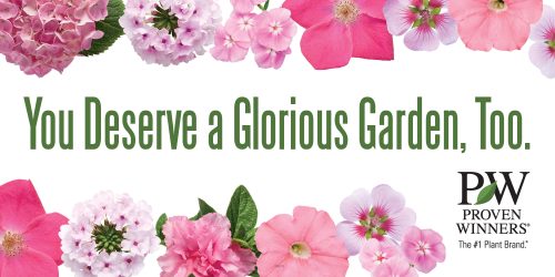 'You Deserve a Glorious Garden, Too'  5x2.5' Horizontal Banner