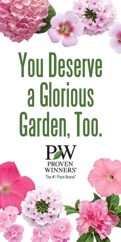 'You Deserve a Glorious Garden, Too' 2.5x5' Vertical Banner