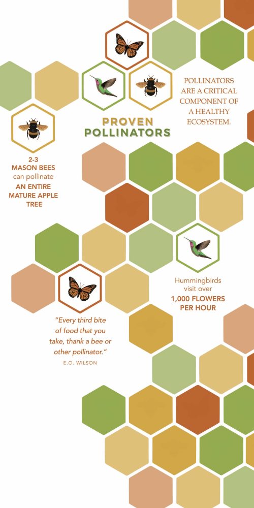 Proven Winners® Proven Pollinators 48x96" Banner