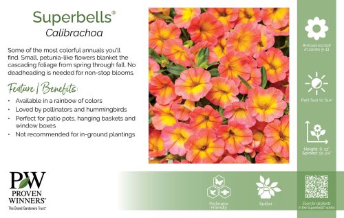 Calibrachoa Superbells® 11x7" Series Benchcard