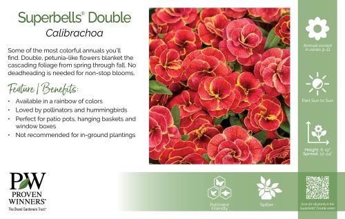 Calibrachoa Superbells® Double 11x7" Series Benchcard