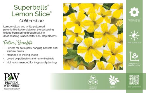 Calibrachoa Superbells® Lemon Slice® 11x7" Variety Benchcard