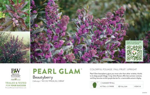 Callicarpa Pearl Glam® (Beautyberry) 11x7" Variety Benchcard