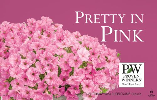 Pretty in Pink ColorWise® 11x7" Display Benchcard