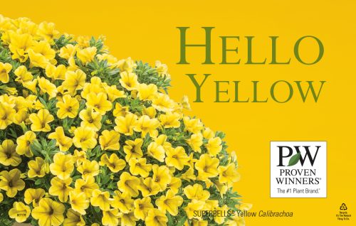 Hello Yellow ColorWise® 11x7" Display Benchcard