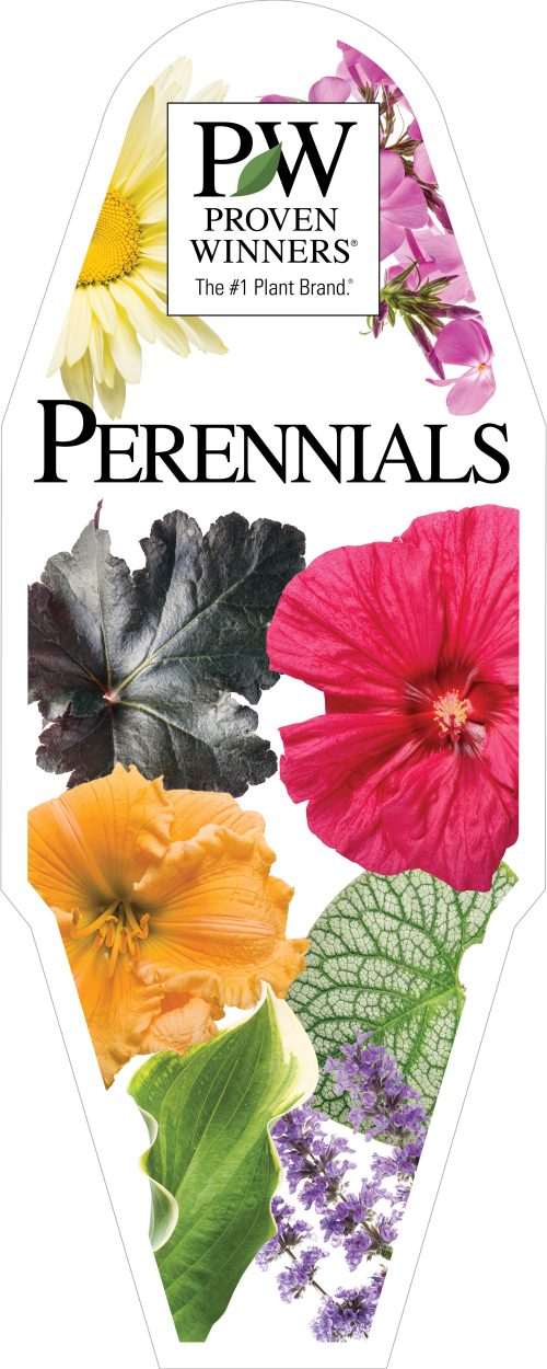 Perennials Macro Heavyweight 18x45" Diecut Sign