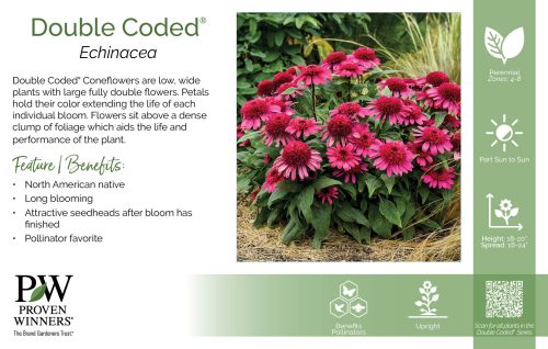 Echinacea Double Coded® 11x7" Series Benchcard