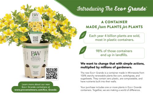 Eco+ Container Facts 11x7" Display Benchcard