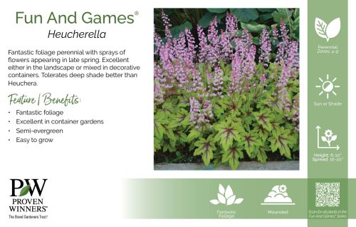 Heucherella Fun And Games® 11x7" Series Benchcard