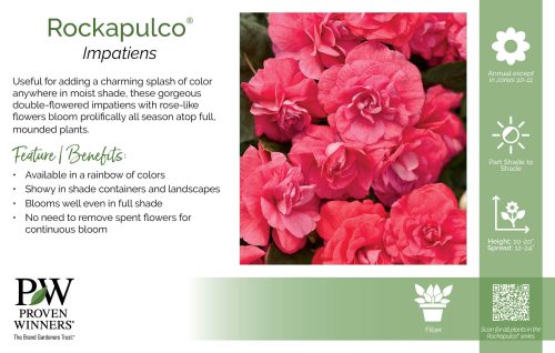 Impatiens Rockapulco® 11x7" Series Benchcard