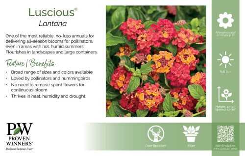 Lantana Luscious® 11x7" Series Benchcard