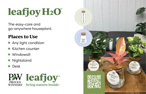 leafjoy™ H2O™ Collection 11x7 Display Benchcard