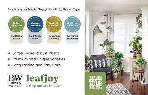 leafjoy™ Collection Overview 11x7 Display Benchcard