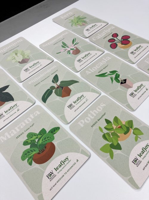 Houseplant Care Cards - leafjoy by Proven Winners® - US Shipping Included