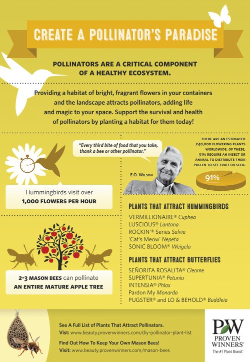 Proven Winners® Proven Pollinators 24"x34" Poster