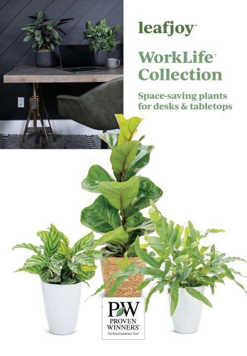 leafjoy™ WorkLife™ Collection 23.5x34" Poster