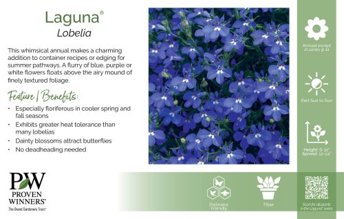 Lobelia Laguna® 11x7" Series Benchcard