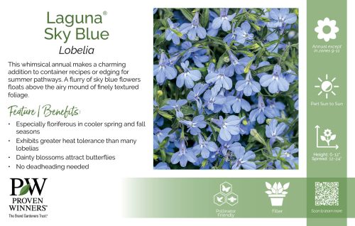 Lobelia Laguna® Sky Blue 11x7" Variety Benchcard