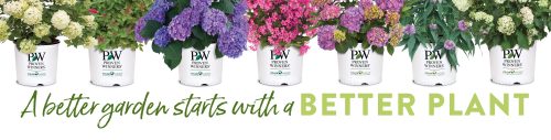 A Better Garden Starts with a Better Plant Shrub Branded Container Poster - 48x12"