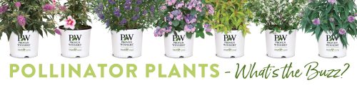 Pollinator Plants Shrub Branded Container Poster - 48x12"