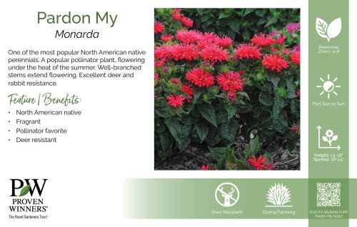 Monarda Pardon My 11x7" Series Benchcard